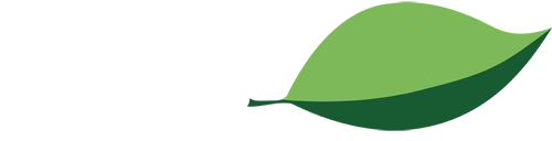 folia.com.mx