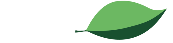 folia.com.mx